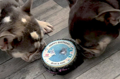 Dog Birthday Cakes