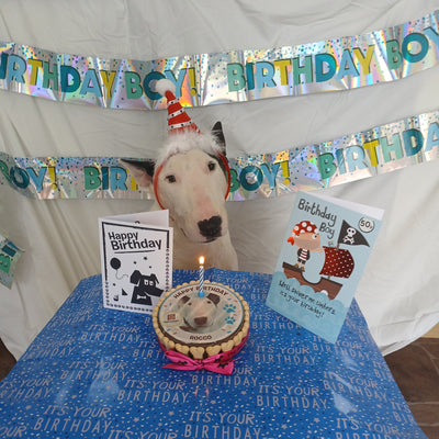 10 Fun Birthday Party Themes Your Dog Will Love