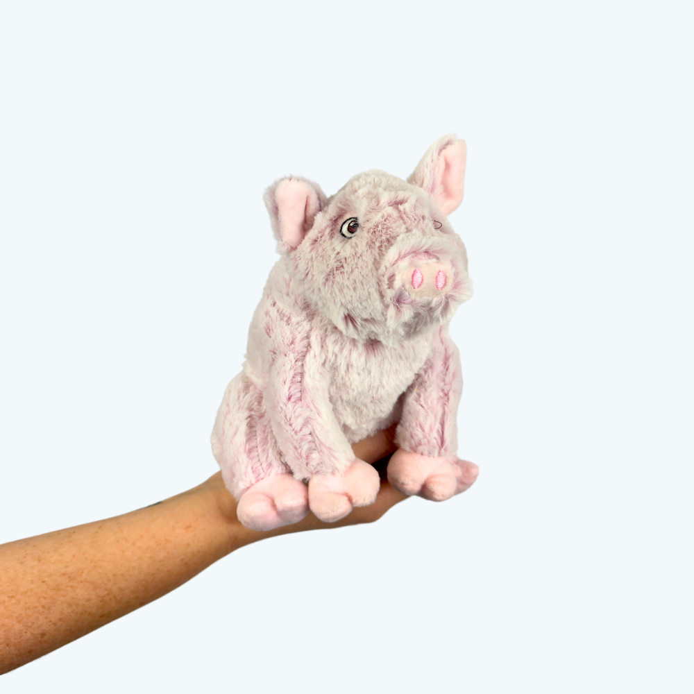 Plush pig dog toy on sale