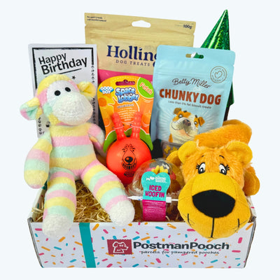 Soft Toy Dog Birthday Box