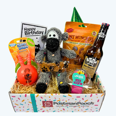 Dog Birthday Box Boys