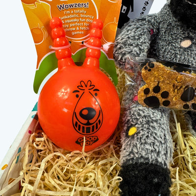 Dog Birthday Box Boys