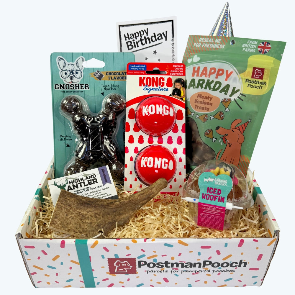 Tuff Dog Toy Birthday Box - Main Image