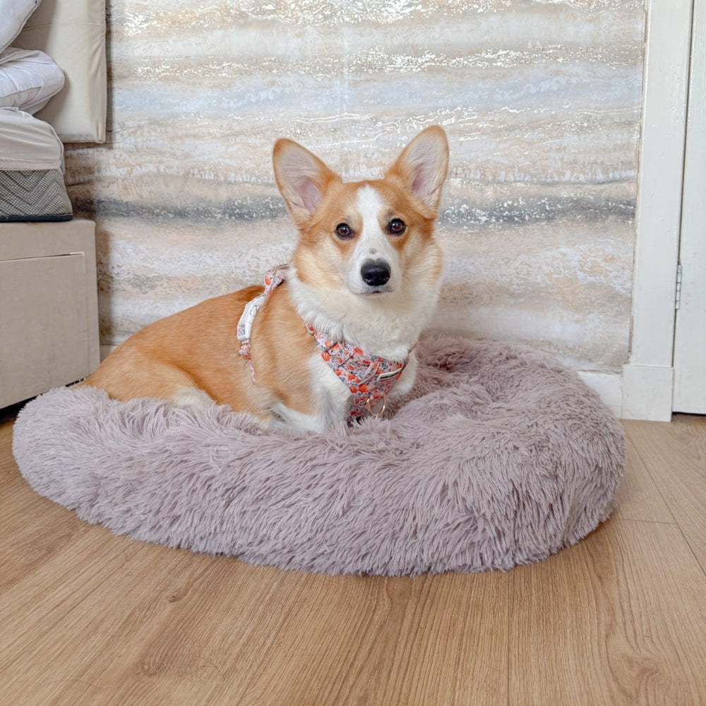 Calming / Anti Anxiety Dog Bed