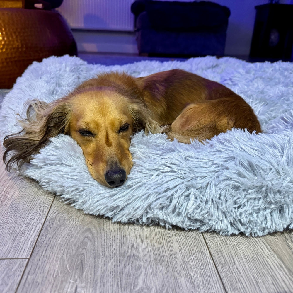 Calming / Anti Anxiety Dog Bed