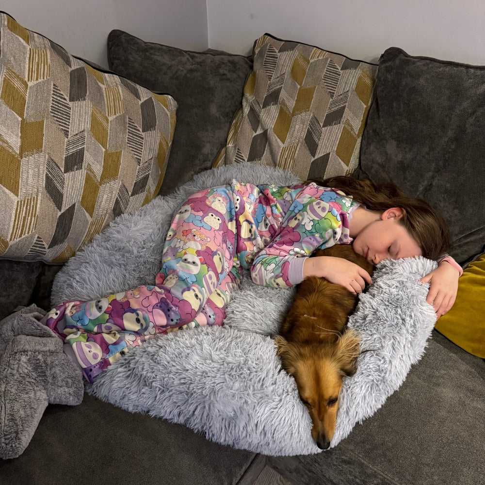 Calming / Anti Anxiety Dog Bed