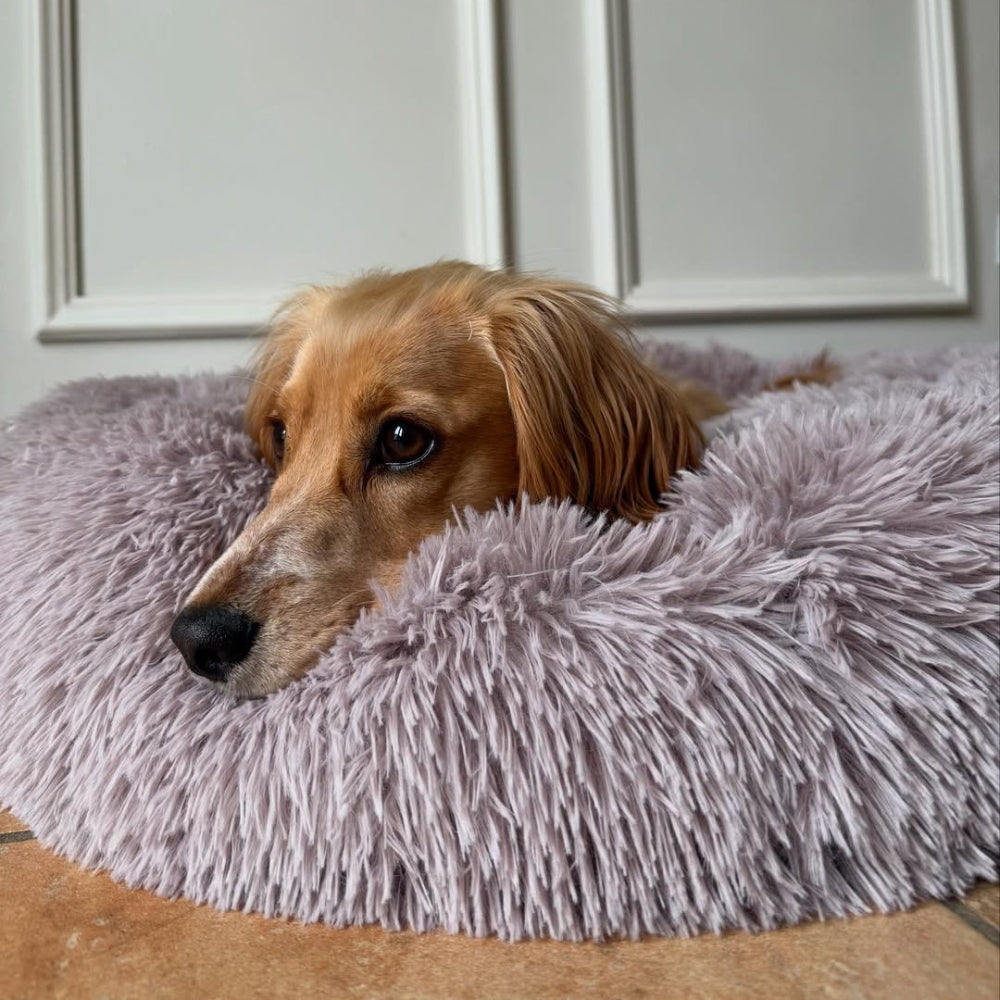 Calming / Anti Anxiety Dog Bed