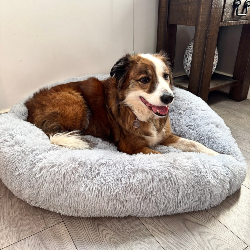 Calming / Anti Anxiety Dog Bed