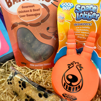 Bark to The Future Dog Birthday Box