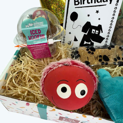 Furry Friends Dog Birthday Box