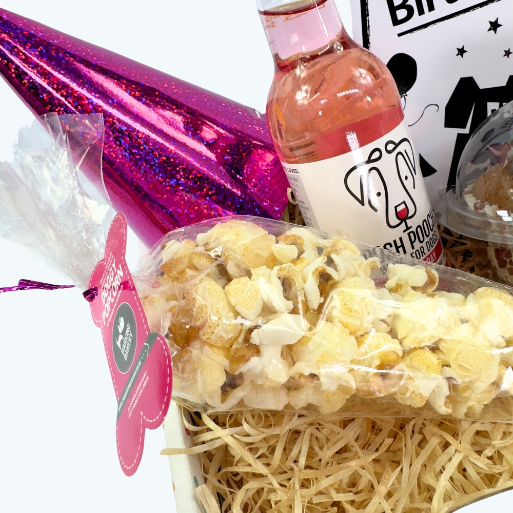 The Classic Girls Dog Birthday Box