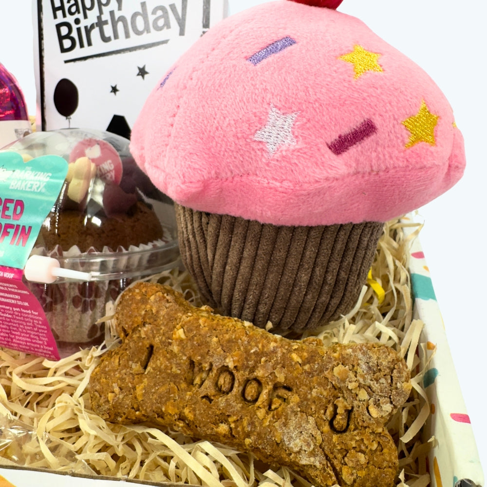 The Classic Girls Dog Birthday Box