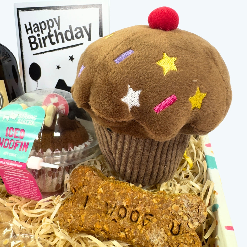 The Classic Boys Dog Birthday Box
