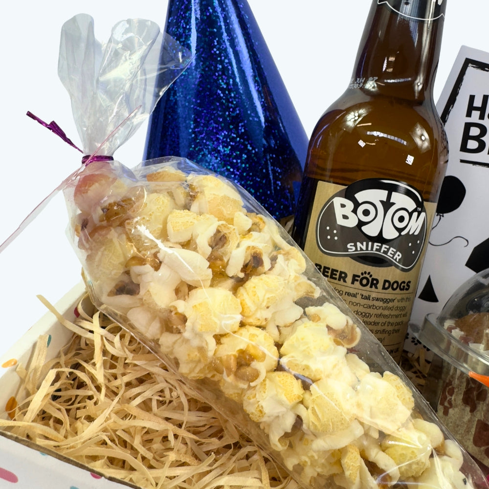 The Classic Boys Dog Birthday Box