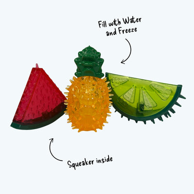 Freezable Fruit Cooling Dog Toy