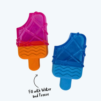 Fillable & Freezable Dog Popsicle Toy