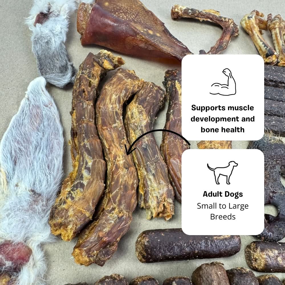 duck necks dog treat