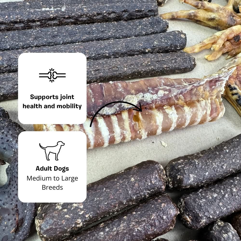 Trachea dog treats