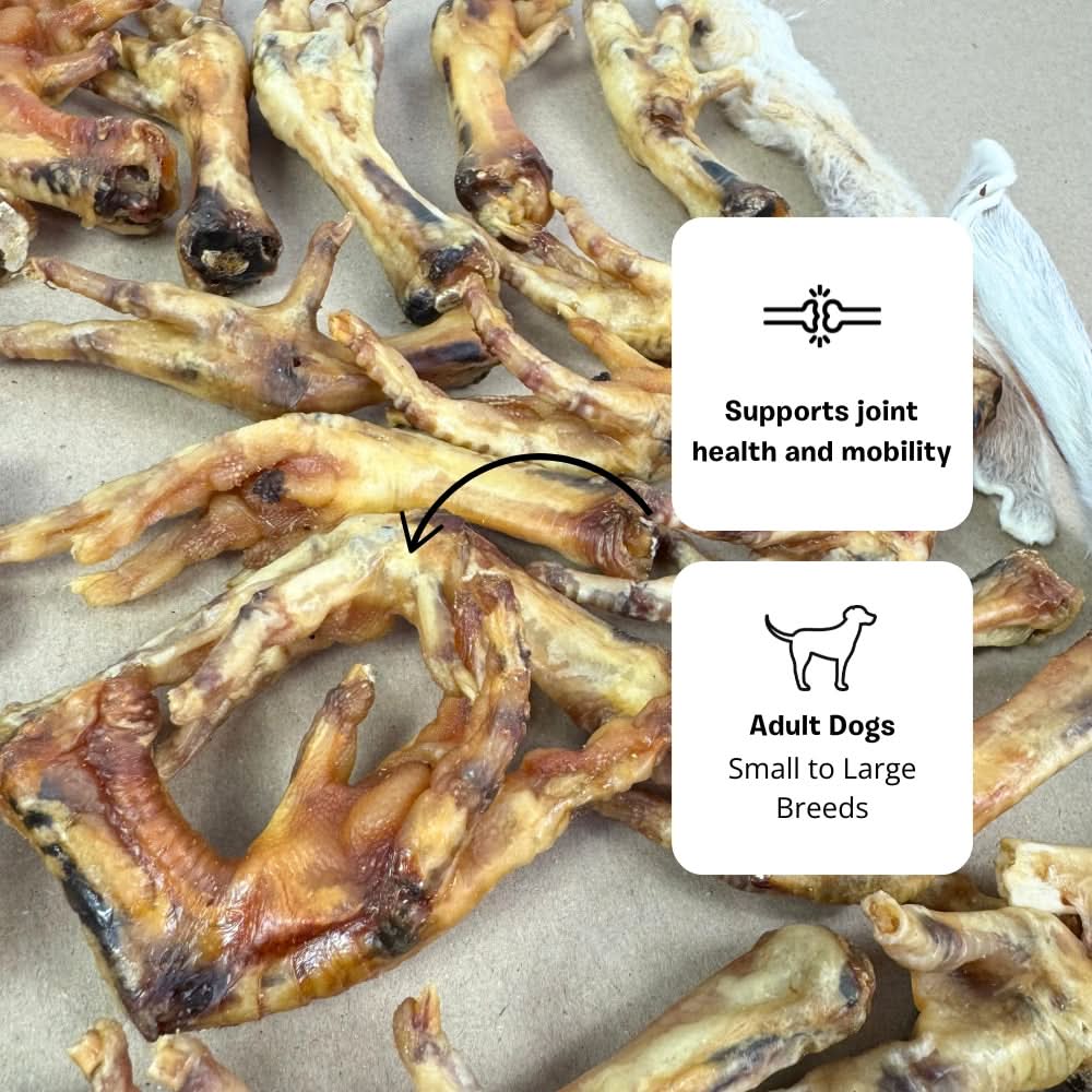 Chickens feet dog treats