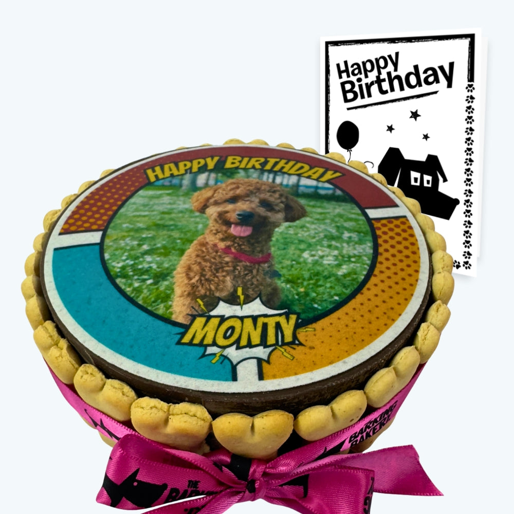 Paw! Pow! Party! - Personalised Dog Picture Cake & Card
