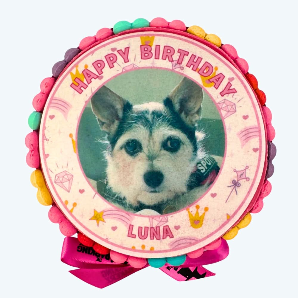 Pawty Princess Dog Birthday Cake