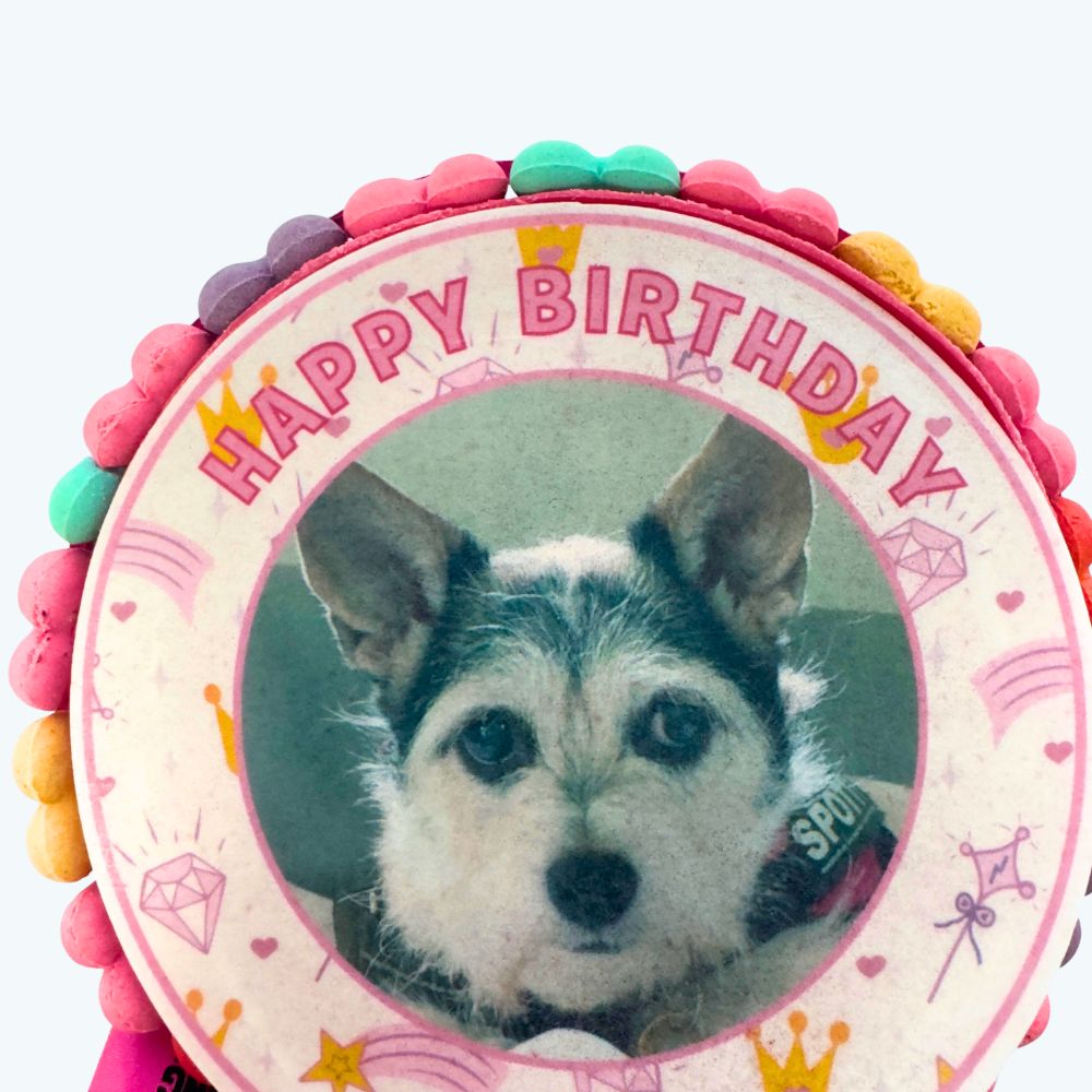 Pawty Princess Dog Birthday Cake