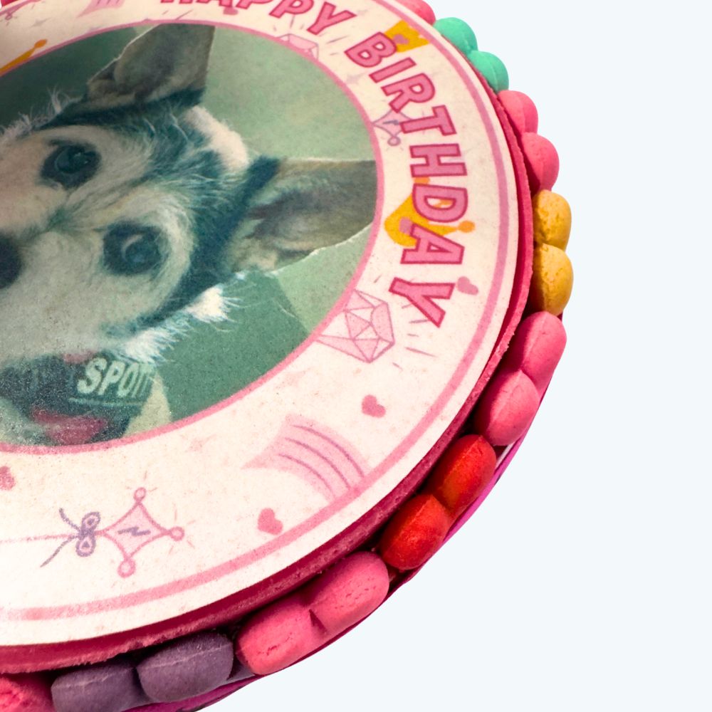 Pawty Princess Dog Birthday Cake