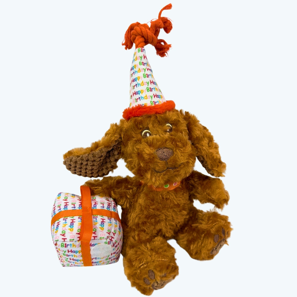 Happy Birthday Dog 2-Piece Set