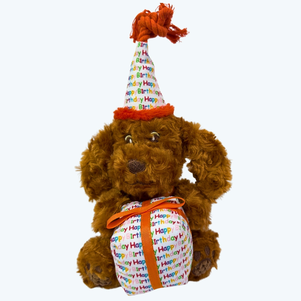 Happy Birthday Dog 2-Piece Set