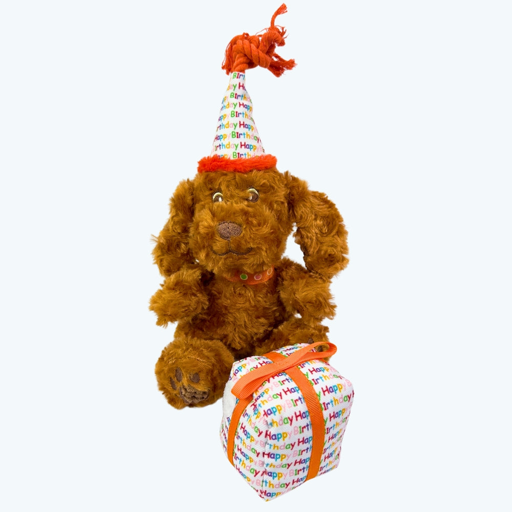 Happy Birthday Dog 2-Piece Set