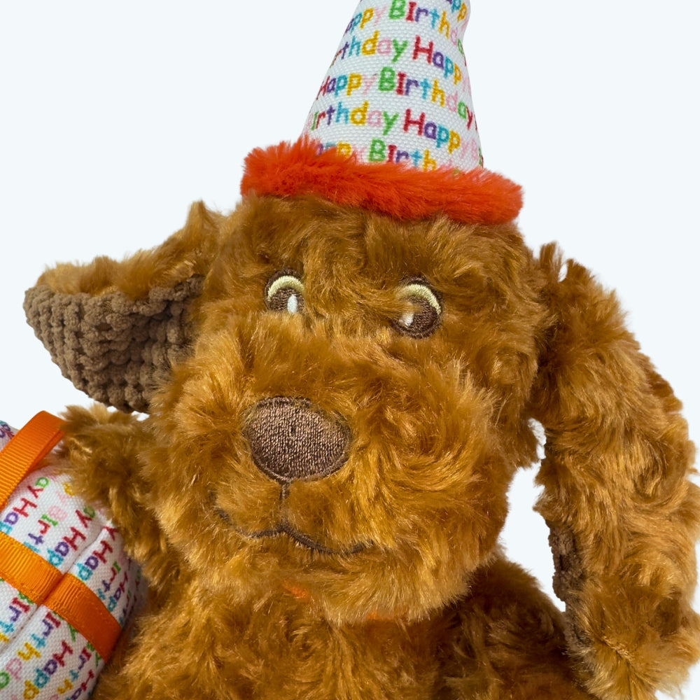 Happy Birthday Dog 2-Piece Set