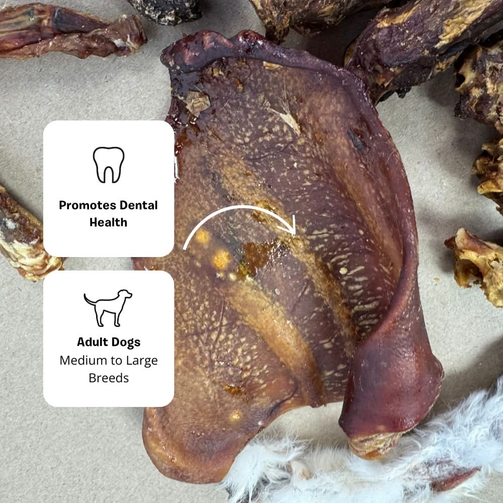 Pigs ear dog treat