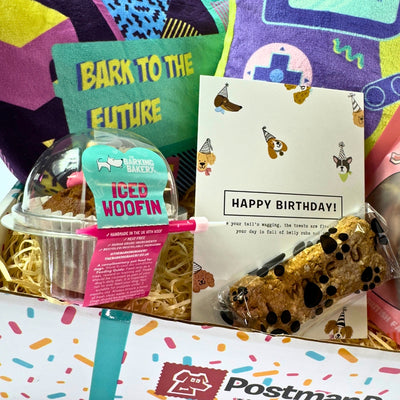 Bark to The Future Dog Birthday Box