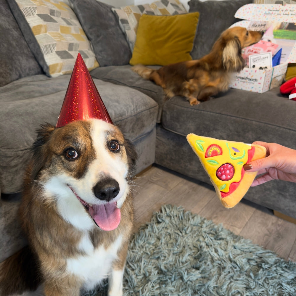 Fast Food Feast Dog Birthday Box