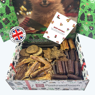 50 Piece Festive Natural Dog Treat Bundle