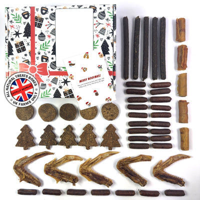 50 Piece Festive Natural Dog Treat Bundle