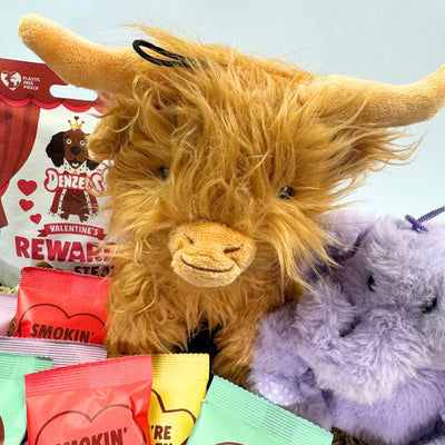 Valentine's Dog Gift Box