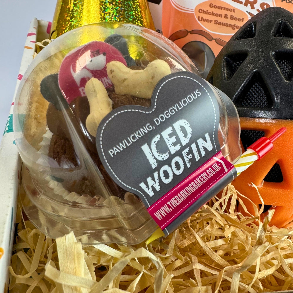Extreme Chewers Dog Birthday Box