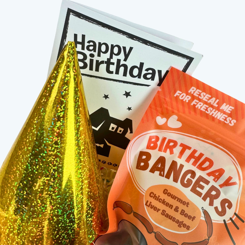 Extreme Chewers Dog Birthday Box