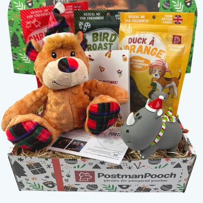 Soft Toy Dog Christmas Box