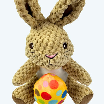 Easter Bunny Dog Toy