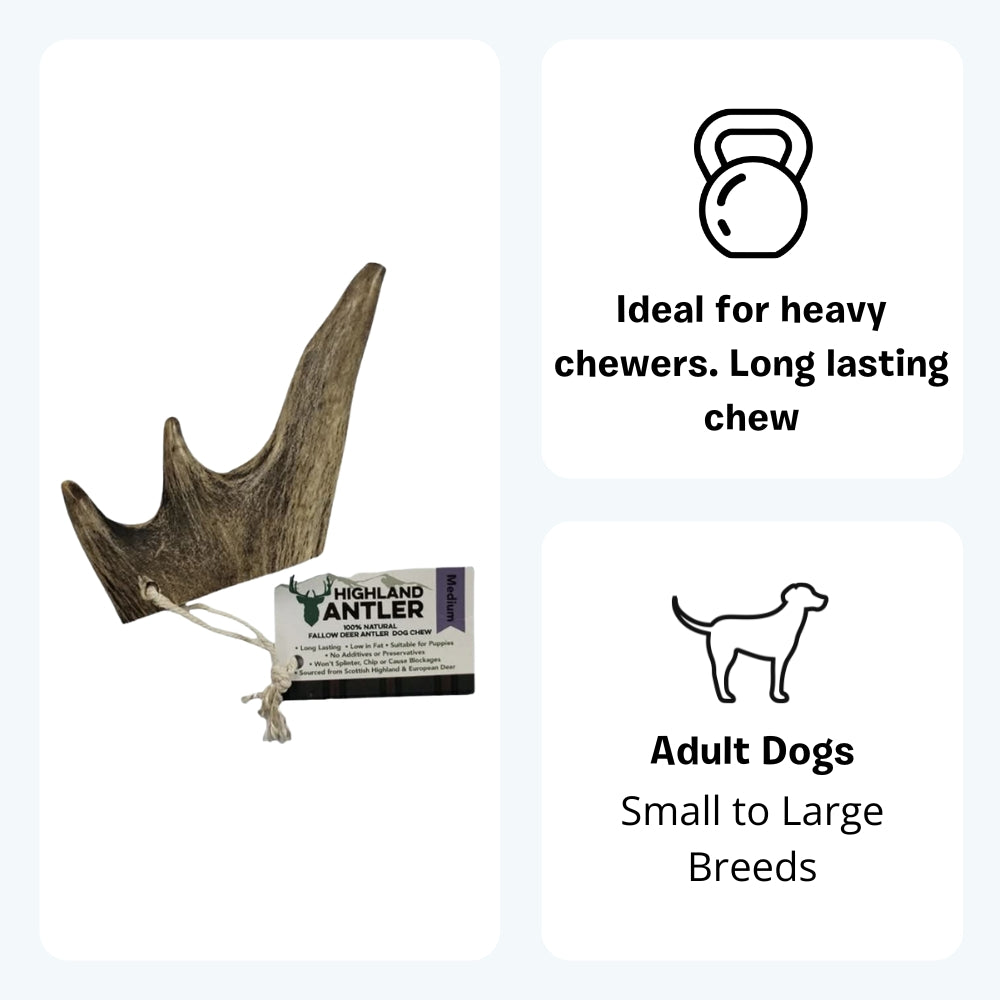 Antler Dog Chew