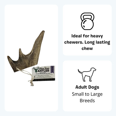 Antler Dog Chew