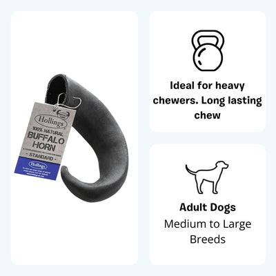 Hollings Buffalo Horn