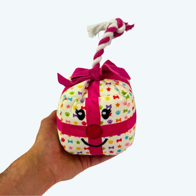 Birthday Present Dog Toy