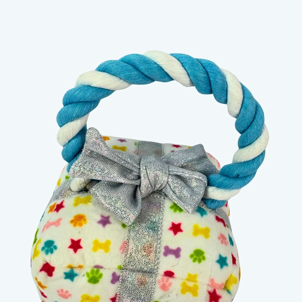 Birthday Present Rope Dog Toy
