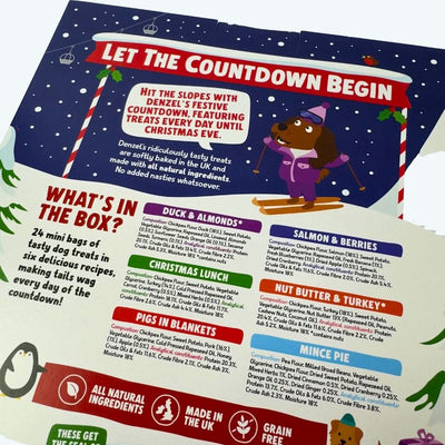 Christmas Advent Calendar for Dogs