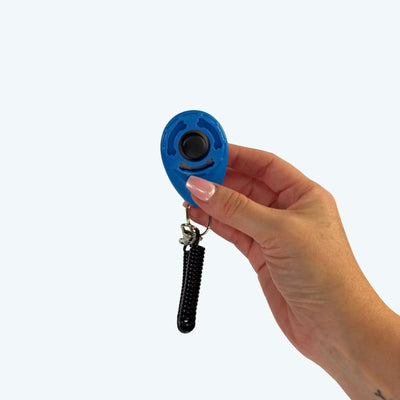 Dog Training Clicker & Wrist Strap Set