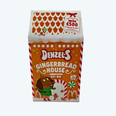 Festive Gingerbread House Gift Box of Dog Treats
