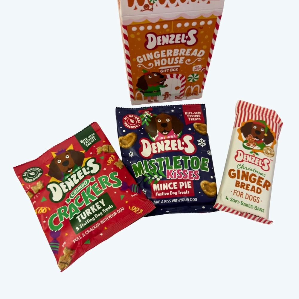 Festive Gingerbread House Gift Box of Dog Treats